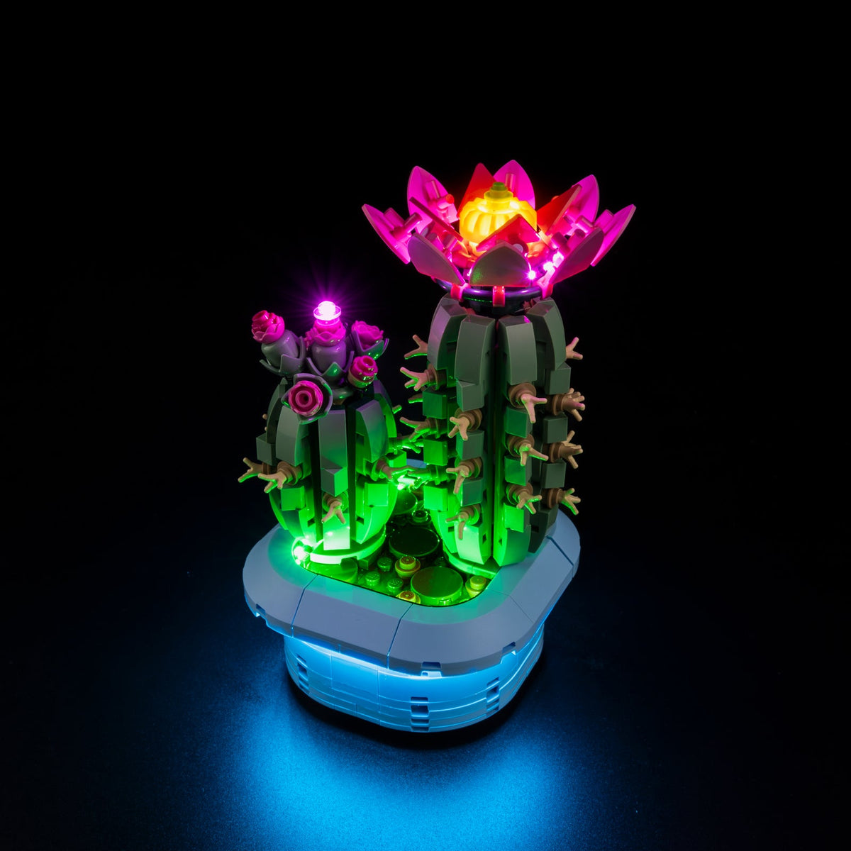 LEGO 11509 Lighting Kit for Flowering Cactus 11509 sealed box front