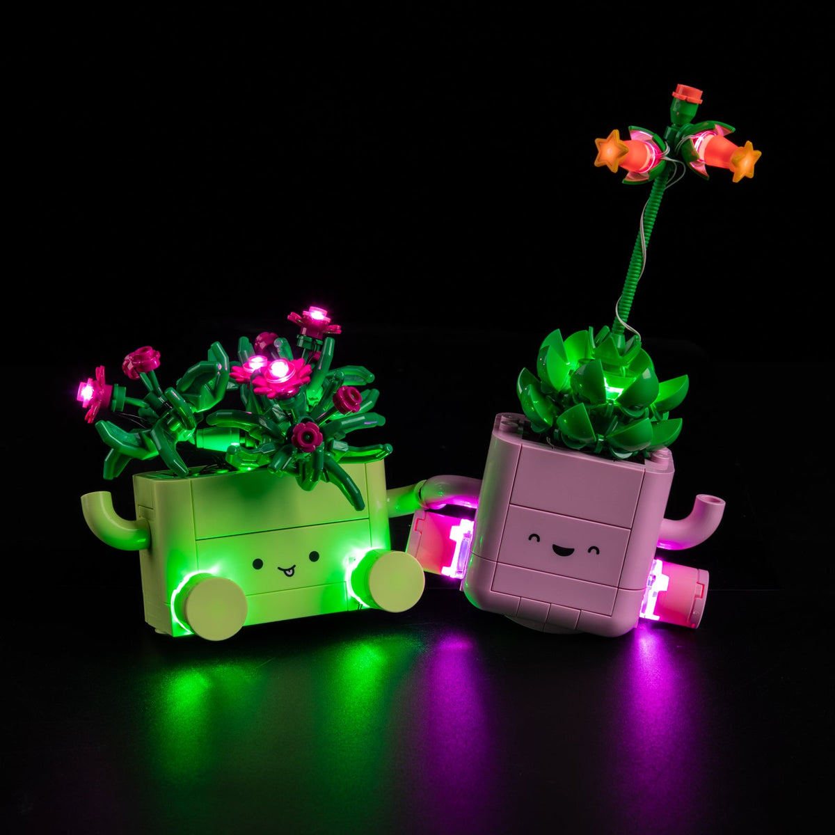 LEGO 11506 Lighting Kit for Rocking Plants 11506 sealed box front