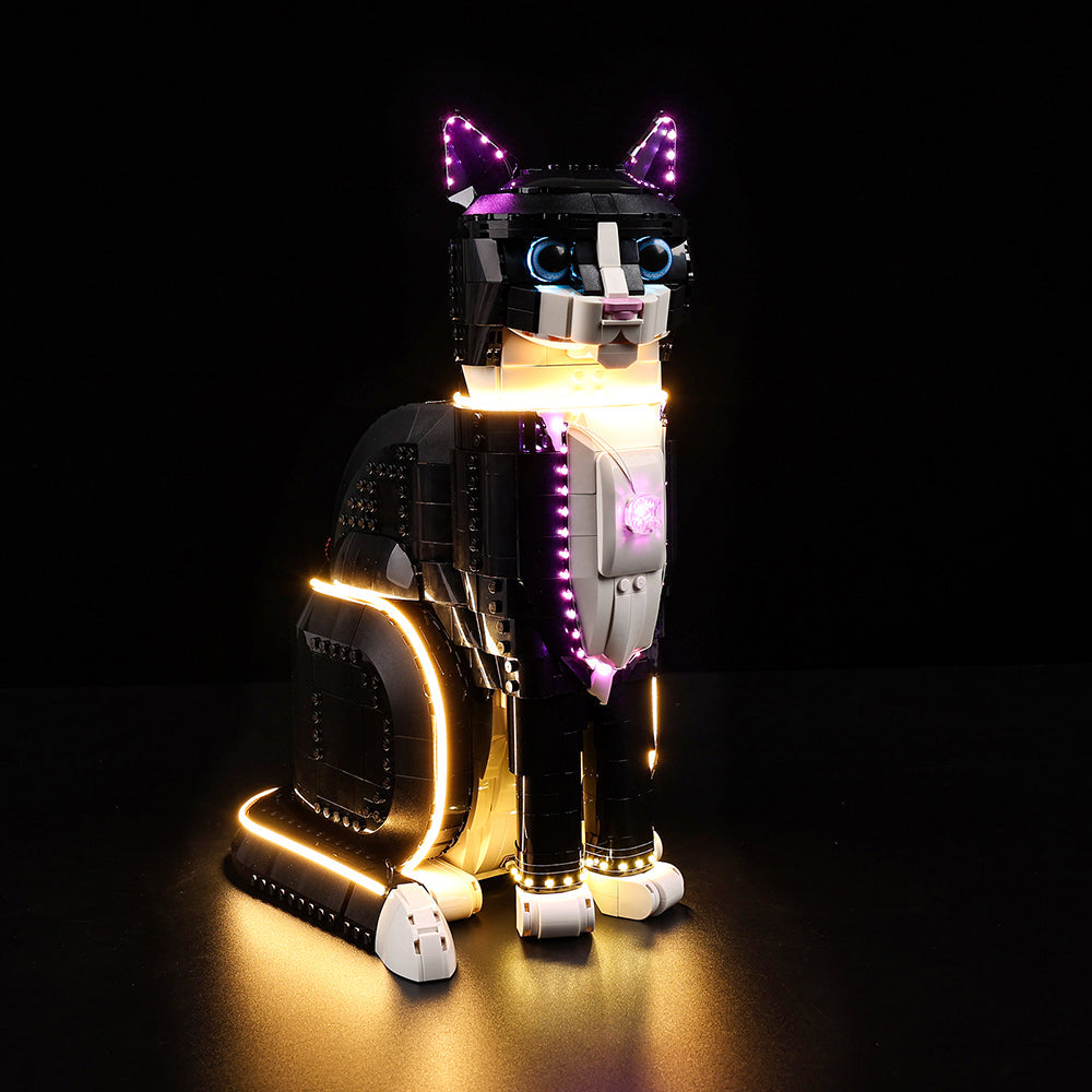 LEGO 21349 Lighting Kit for Tuxedo Cat 21349 sealed box front