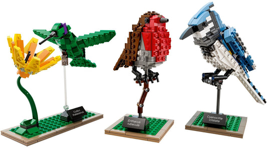 LEGO Birds 21301 sealed box art