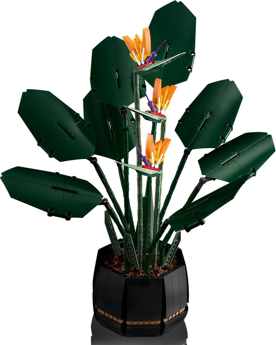 LEGO Bird of Paradise 10289 – Retired & Sealed