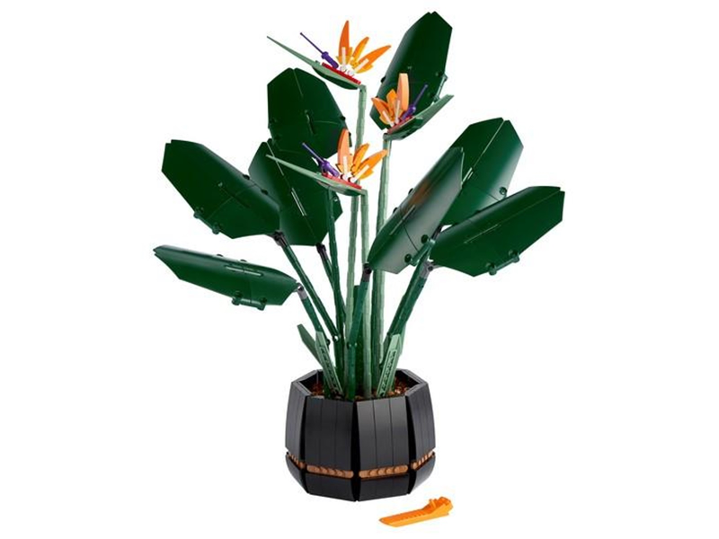 LEGO Bird of Paradise 10289 – Retired & Sealed