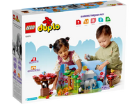 LEGO 10974 DUPLO Wild Animals of Asia 10974 sealed box view 4