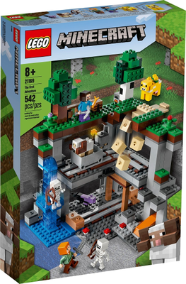 LEGO The First Adventure 21169 – Retired & Sealed