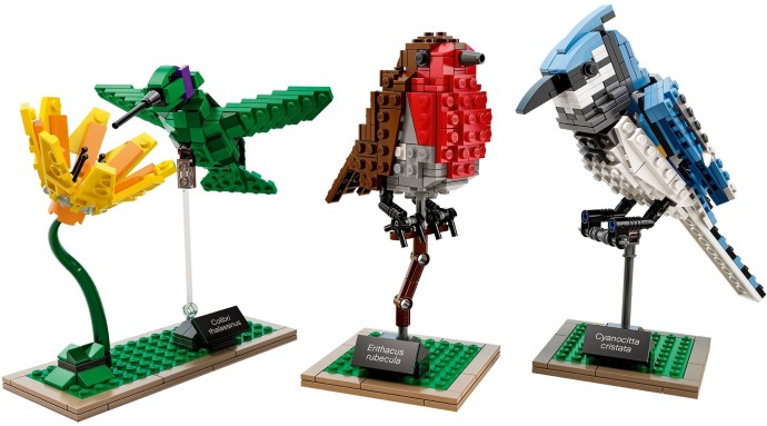 LEGO Birds 21301 – Retired & Sealed