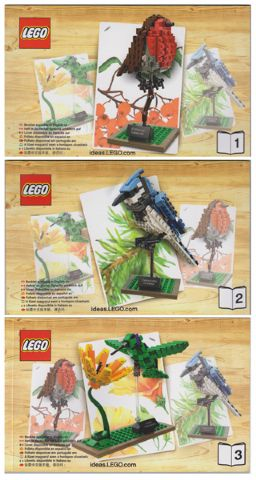 LEGO Birds 21301 – Retired & Sealed