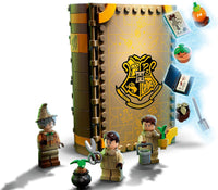 LEGO 76384 Hogwarts Moment: Herbology Class 76384 sealed box view 5