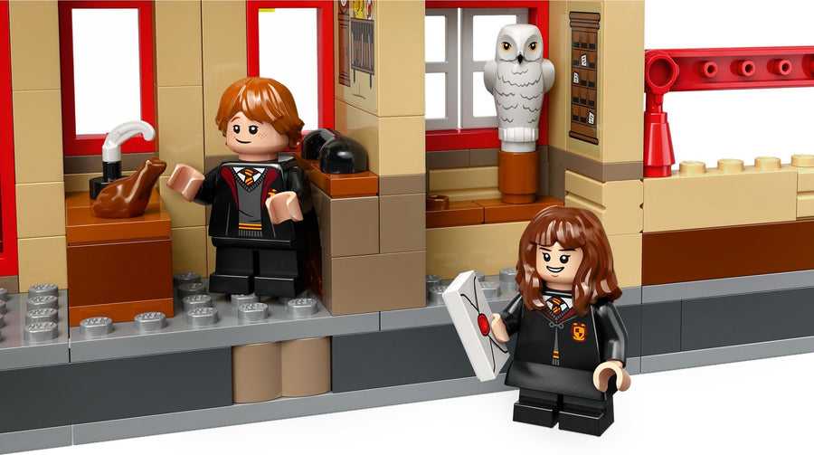 LEGO Hogwarts Express & Hogsmeade Station 76423 – Retired & Sealed