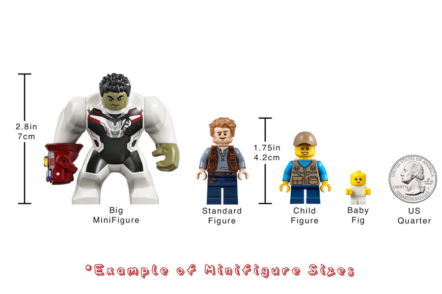 LEGO BrickHeadz Professors of Hogwarts™ 40560 – Retired & Sealed