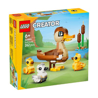 LEGO 40885 Duck Family 40885 sealed box view 3