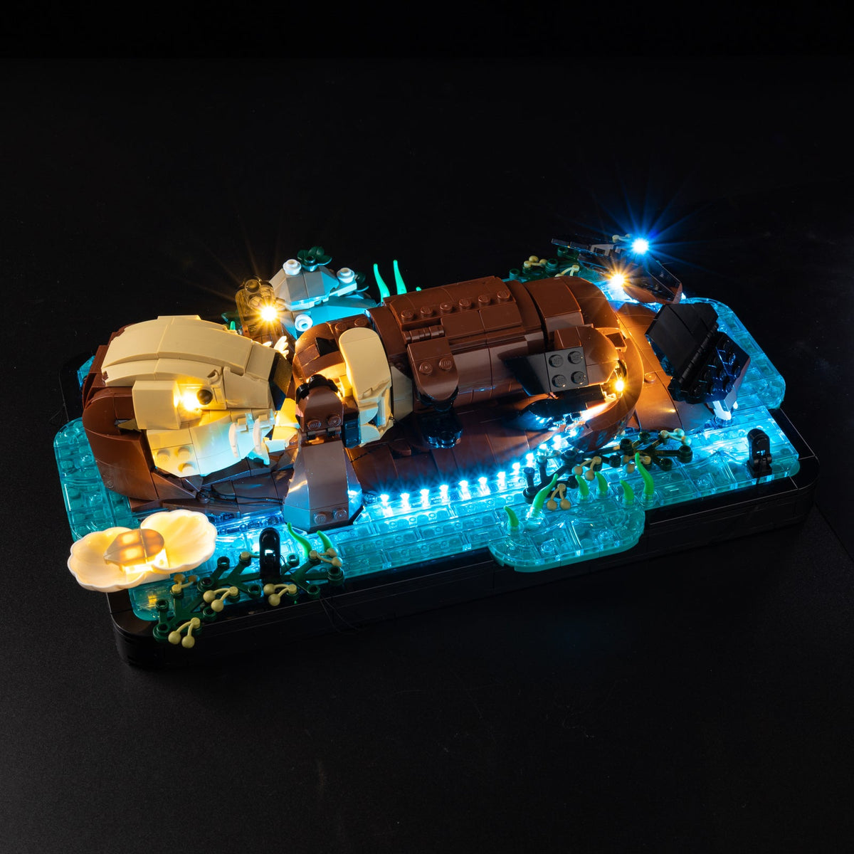 LEGO 21366 Lighting Kit for Floating Sea Otters 21366 sealed box front