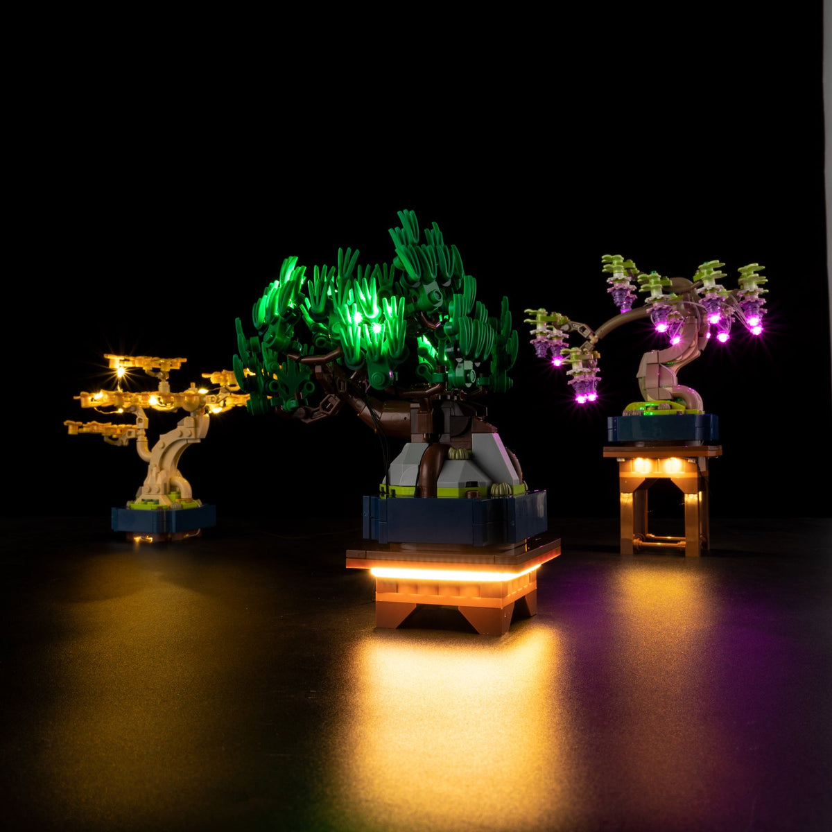 LEGO 10373 Lighting Kit for Mini Bonsai Trees 10373 sealed box front