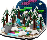 LEGO 40785 Northern Lights Diorama 40785 sealed box view 2
